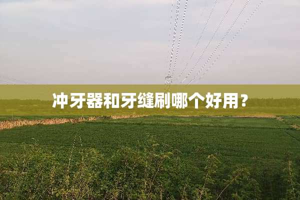 冲牙器和牙缝刷哪个好用？