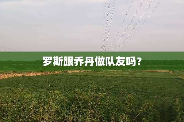 罗斯跟乔丹做队友吗？