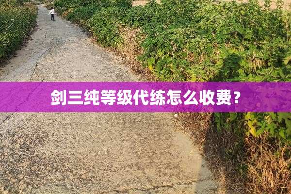 剑三纯等级代练怎么收费？