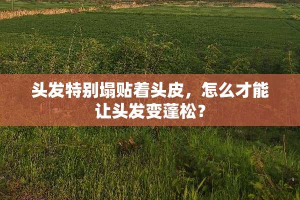头发特别塌贴着头皮，怎么才能让头发变蓬松？