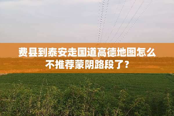 费县到**走国道高德地图怎么不推荐蒙*路段了？