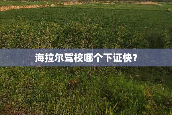 海拉尔驾校哪个下证快？