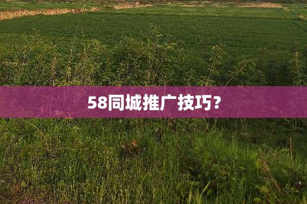 58同城推广技巧？