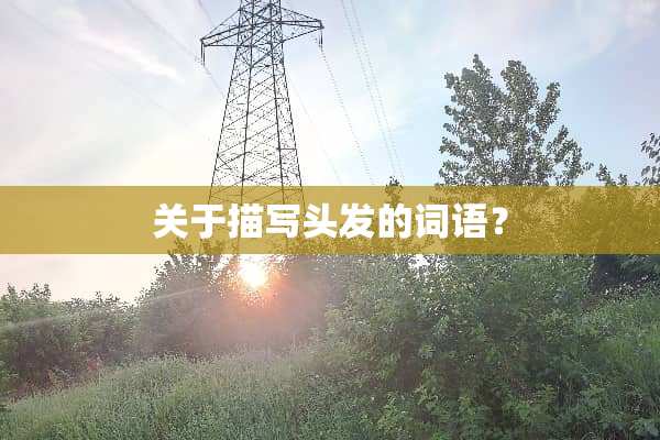 关于描写头发的词语？