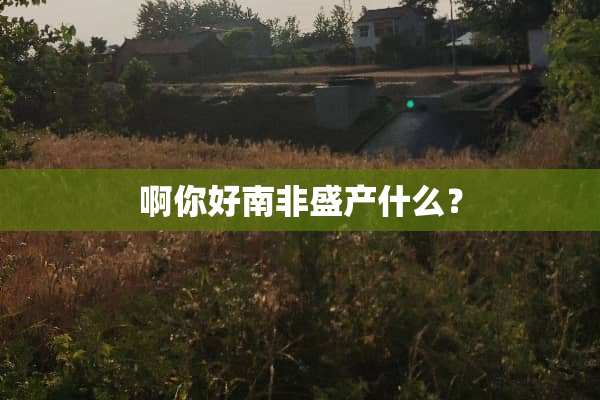 啊你好南非盛产什么？