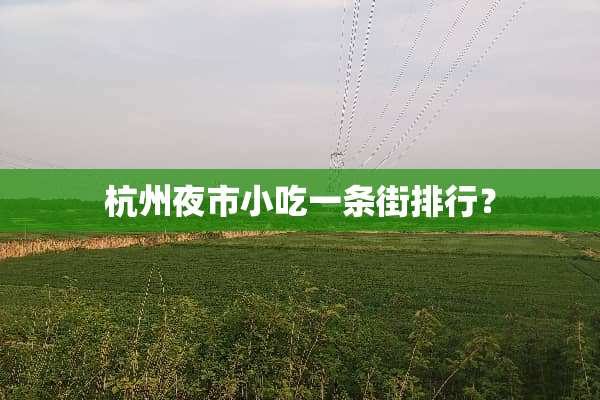 杭州夜市小吃一条街排行？