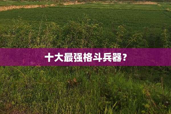 十大最强格斗兵器？
