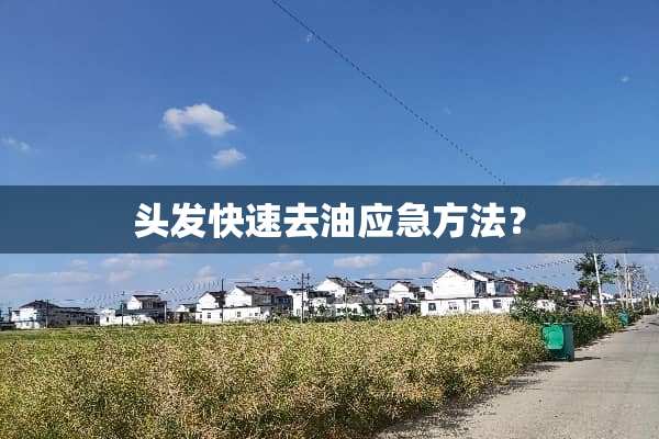 头发快速去油应急方法？