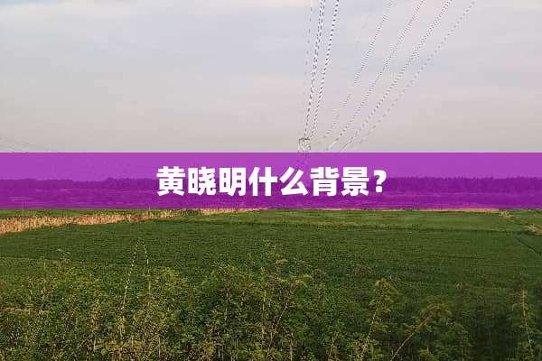 黄晓明什么背景？