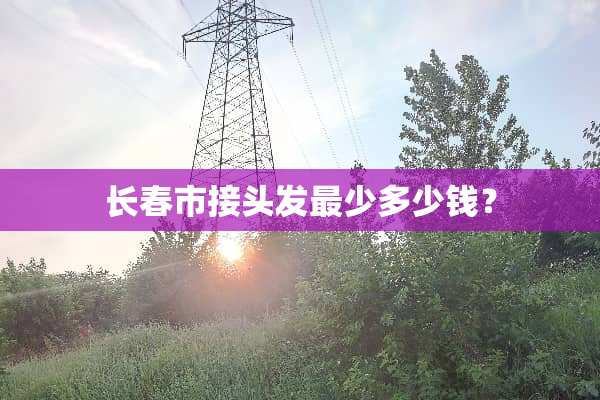 长春市接头发最少多少钱？