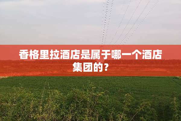 香格里拉酒店是属于哪一个酒店集团的？