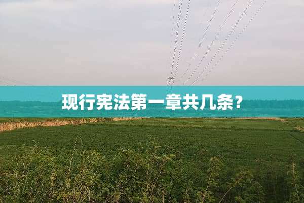 现行宪法第一章共几条？