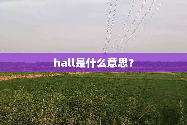 hall是什么意思？