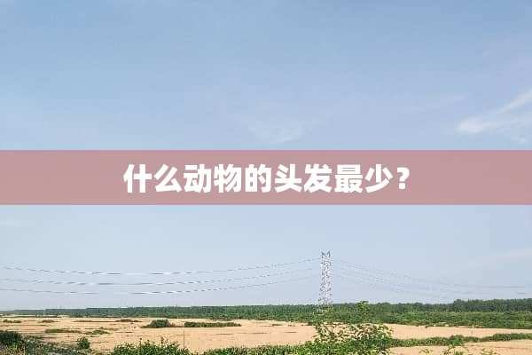 什么动物的头发最少？