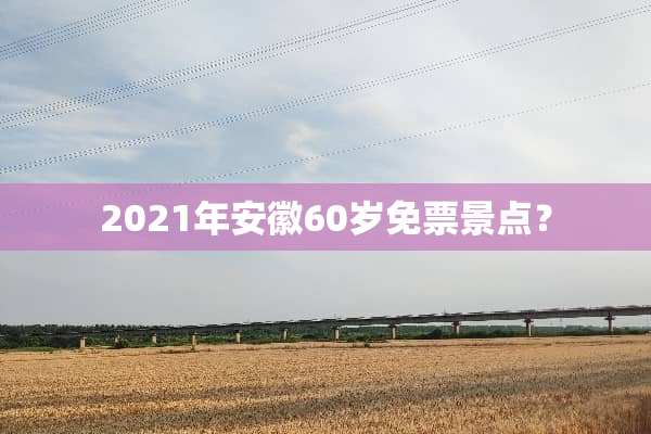 2021年安徽60岁免票景点？
