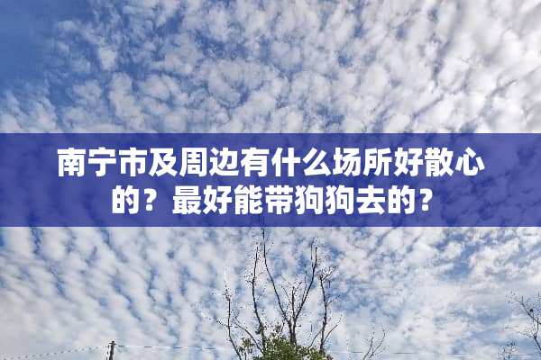 南宁市及周边有什么场所好散心的？最好能带狗狗去的？