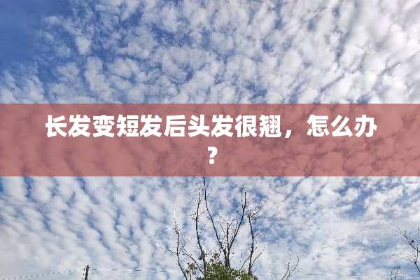 长发变短发后头发很翘，怎么办？