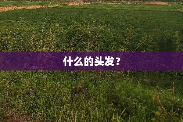 什么的头发？
