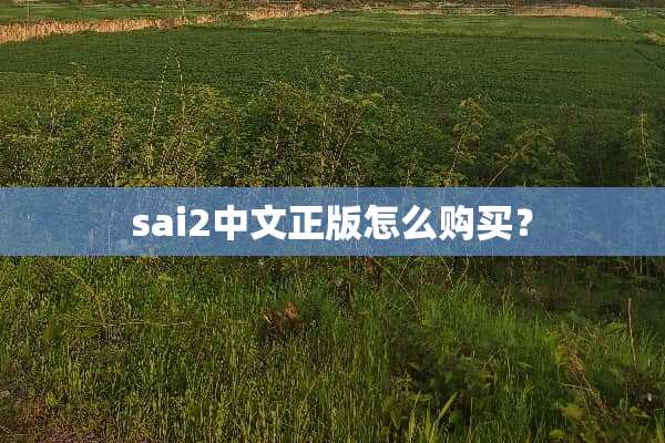 sai2中文正版怎么购买？