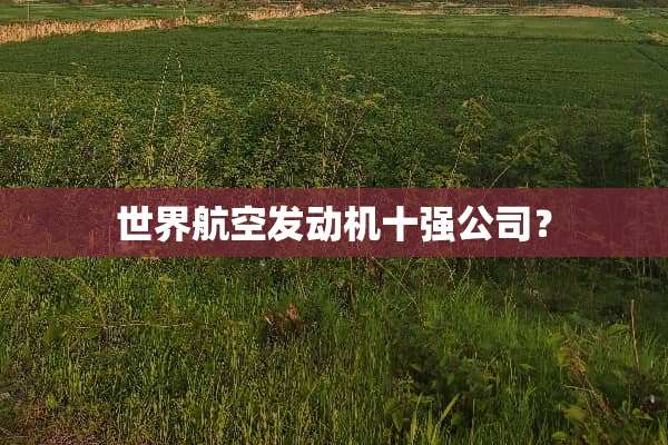 世界航空发动机十强公司？
