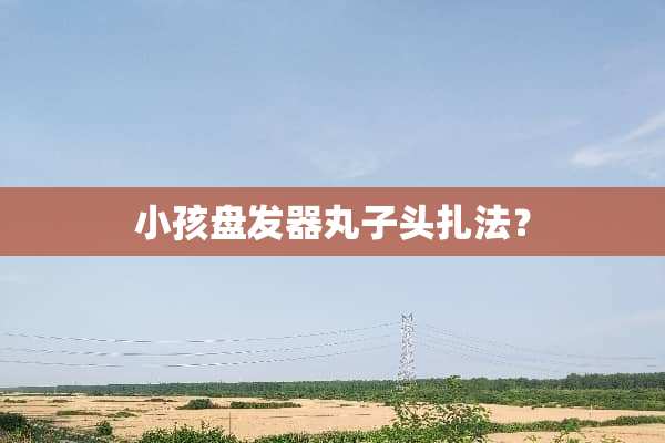 小孩盘发器丸子头扎法？