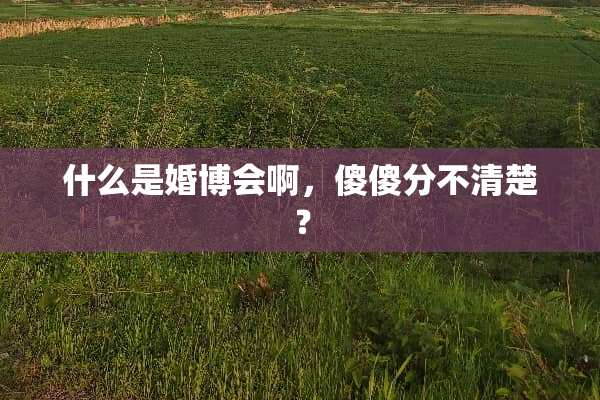 什么是婚博会啊，傻傻分不清楚？