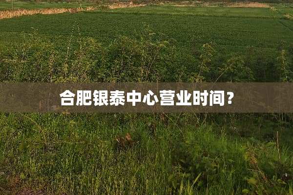 合肥银泰中心营业时间？