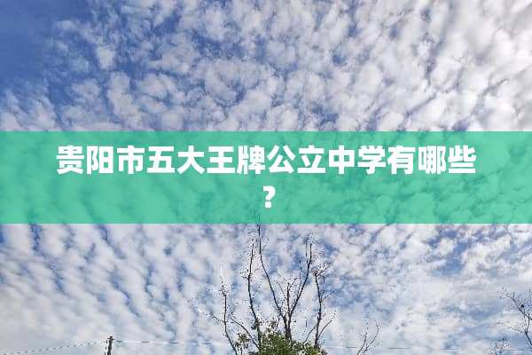 贵阳市五大王牌公立中学有哪些？