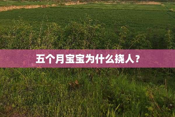 五个月宝宝为什么挠人？