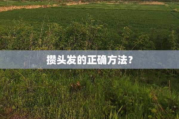 攒头发的正确方法？
