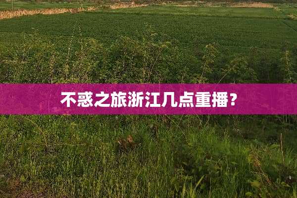 不惑之旅浙江几点重播？