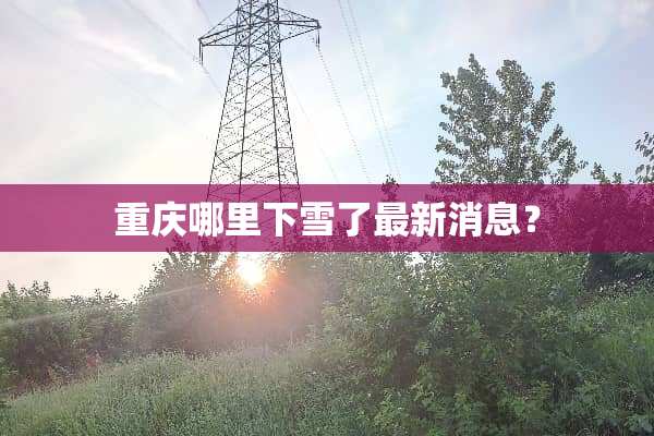 重庆哪里下雪了最新消息？