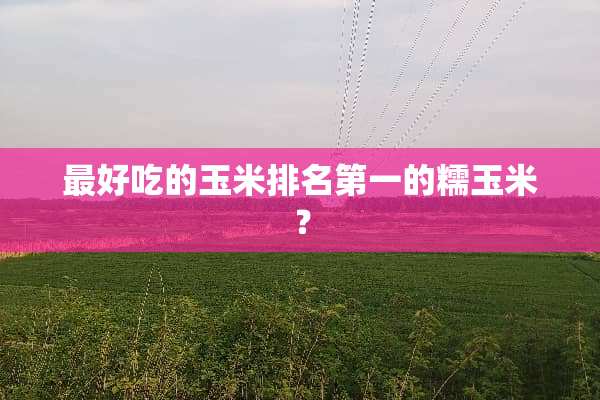最好吃的玉米排名第一的糯玉米？