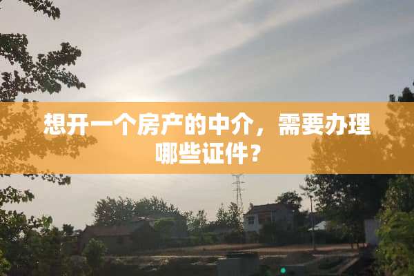 想开一个房产的中介，需要办理哪些**？