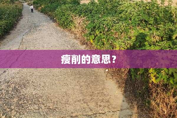 瘦削的意思？
