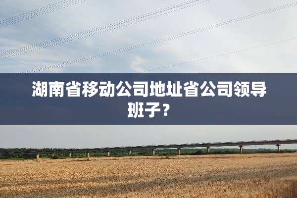 湖南省移动公司地址省公司领导班子？