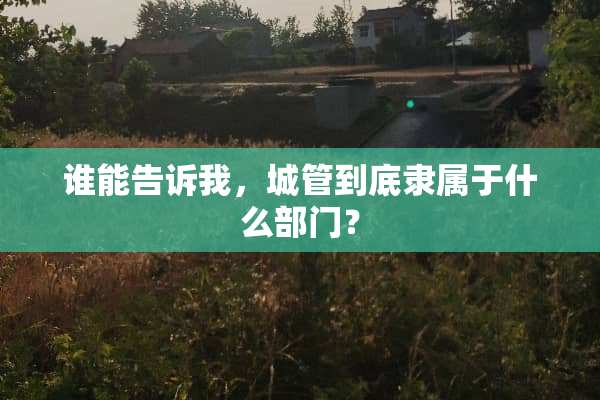 谁能告诉我，**到底隶属于什么部门？