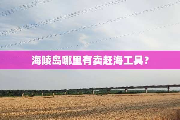 海陵岛哪里有卖赶海工具？