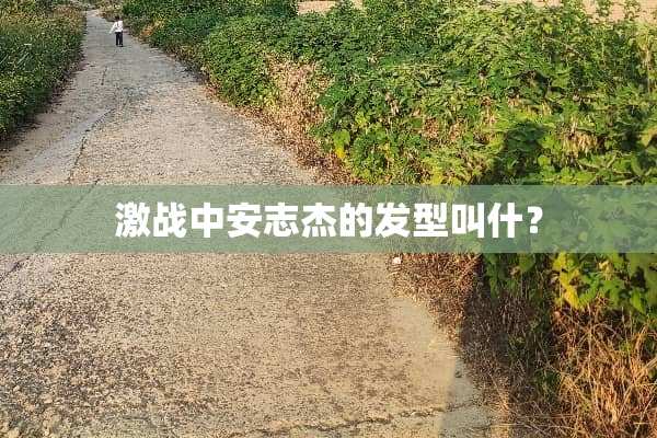 激战中安志杰的发型叫什？