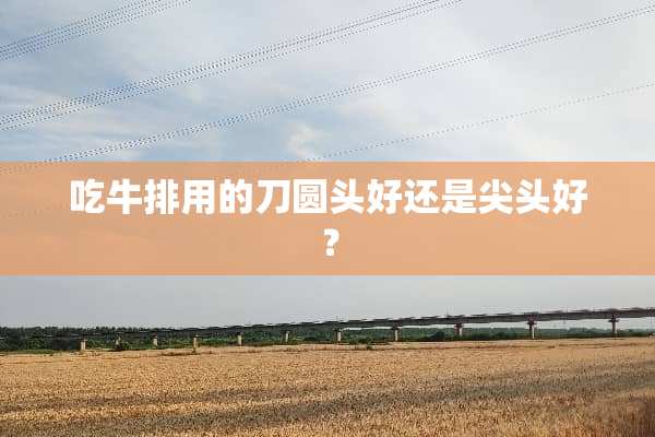 吃牛排用的刀圆头好还是尖头好？