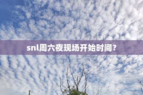 snl周六夜现场开始时间？