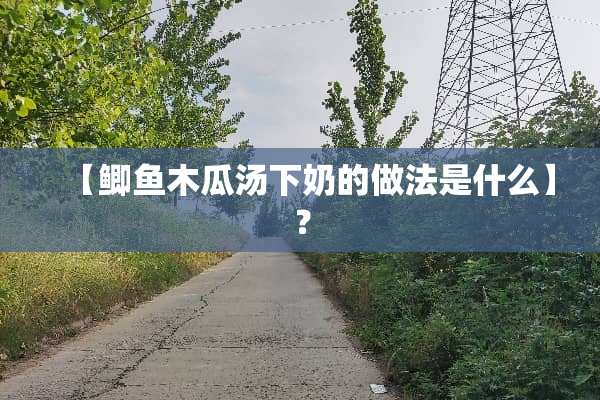 【鲫鱼木瓜汤下奶的做法是什么】？