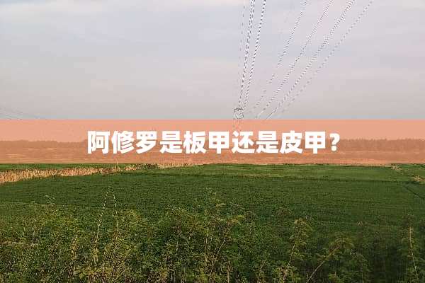 阿修罗是板甲还是皮甲？