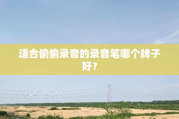 适合**录音的录音笔哪个牌子好？