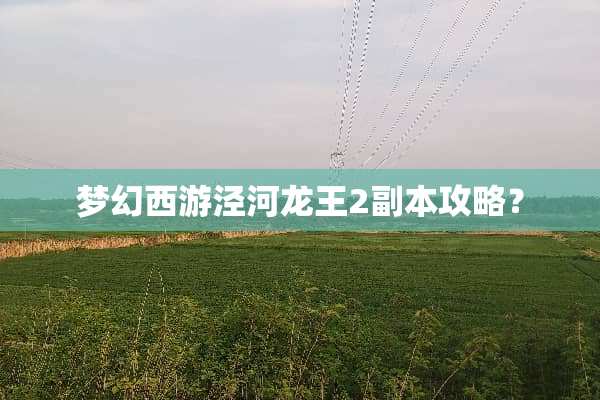 梦幻西游泾河龙王2副本攻略？