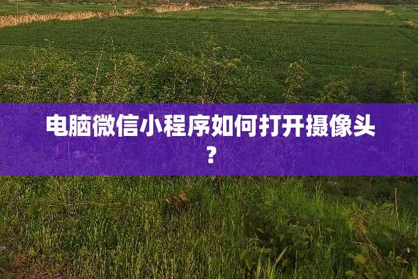 电脑微信小程序如何打开**头？