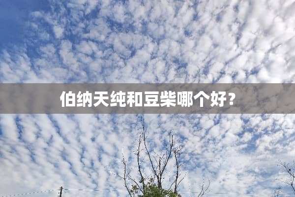 伯纳天纯和豆柴哪个好？