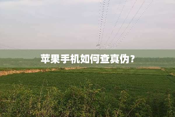苹果手机如何查真伪？