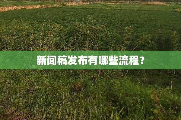 新闻稿发布有哪些流程？