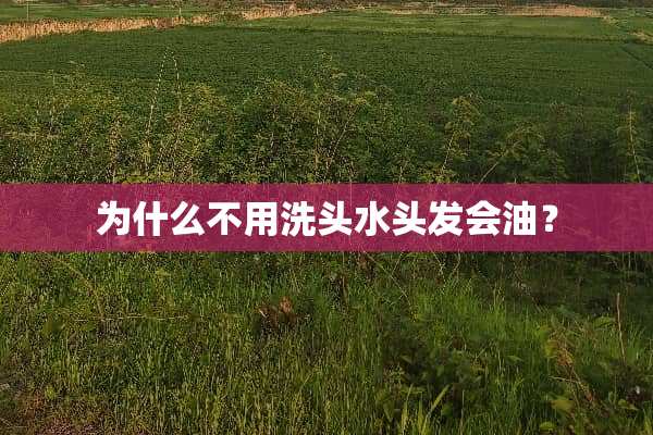为什么不用洗头水头发会油？